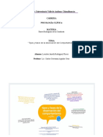 Tipos y Fases de La Observación Del Comportamiento