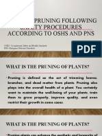 Perform Pruning Following Safety Procedures According To OSHS