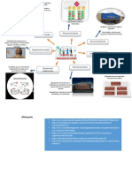 Mapa Mental DISEÑO DE ORGANIZACIONES