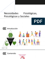 Necesidades fisiopsicosociales: clasificación y características