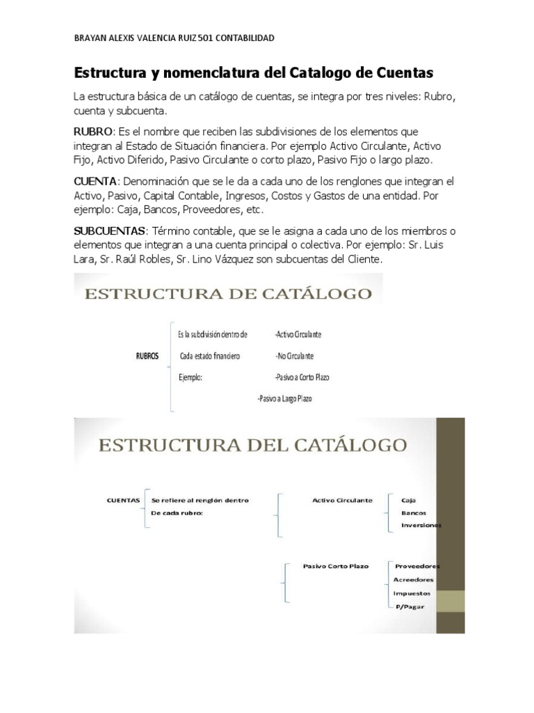 Estructura y Nomenclatura Del Catalogo de Cuentas | PDF | Contabilidad ...