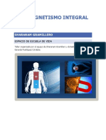 Manual-1 Biomagnetismo Integral