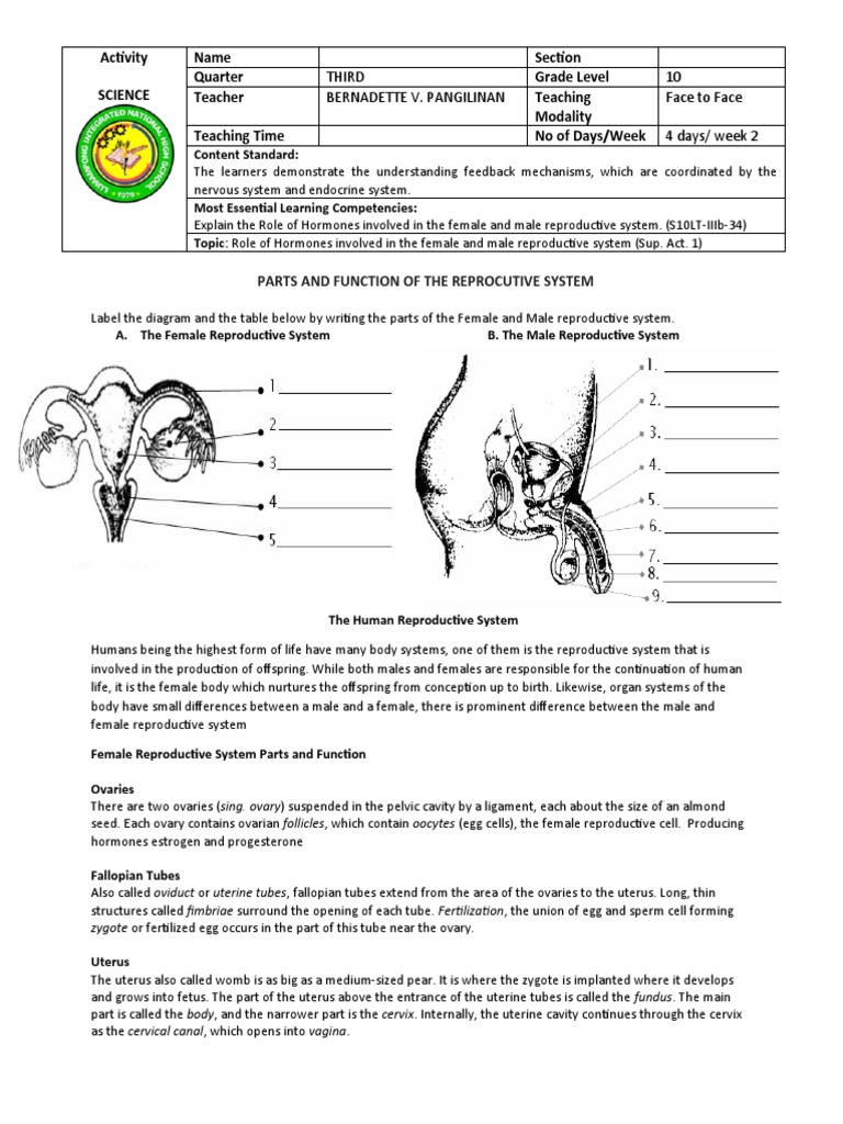Week 2 Supplementary Activity 1 - Parts and Function Reproductive ...