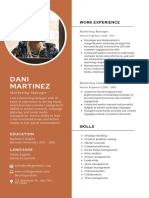 Dani Martinez: Work Experience