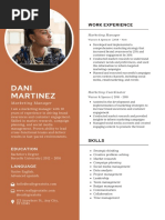 Dani Martinez: Work Experience