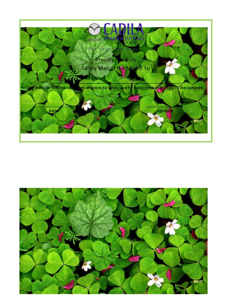 Proudly Presents Safety Man of The Month To PDF