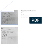 Virtual lab parts 1 and 2 bio 102