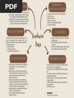 Mapa Mental-Revolución Rusa