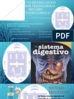 Sistema Digestivo I Características Histológicas Generales. Peritoneo. Cavidad Bucal