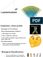 1.2 Nature of Classification1