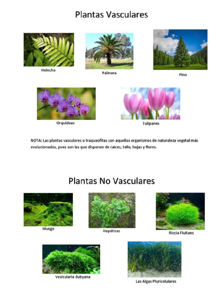 qué visual data 3