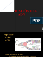 Replicación Del Adn 1