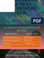 La voluntad predestinada de Dios