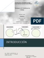 Principios de Señalización QFB FCQ 5A Estefania Chávez