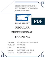 Regular Professional Traini NG: Final Report