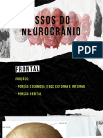 Ossos Do Neurocrânio