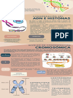 Infografía Adn