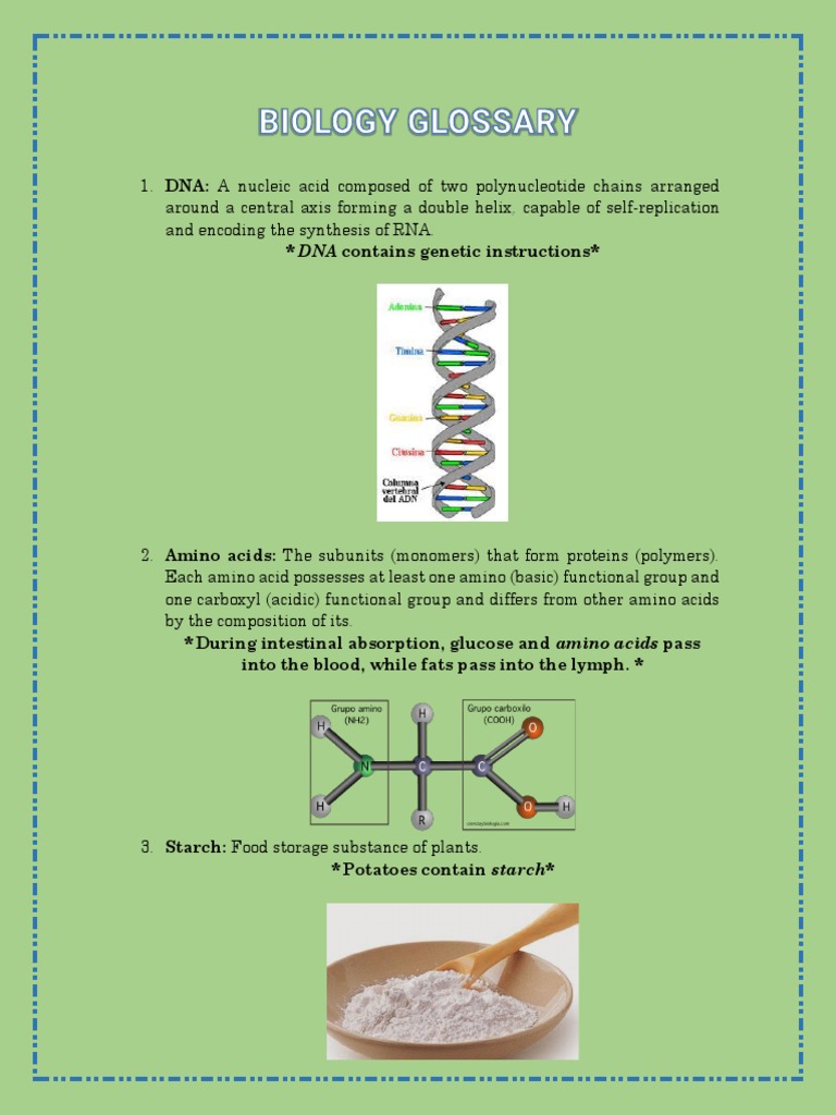 DNA, Proteins, Carbohydrates and Other Key Biological Concepts