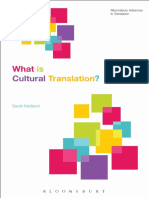What Is Cultural Translation