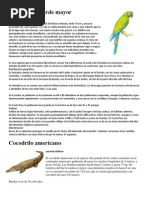 Download 6 Animales en Peligro de Extincion en Honduras by Jokebed Cabrera Tqm SN63881997 doc pdf