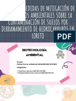 Análisis Y Medidas de Mitigación de Los Impactos Ambientales Sobre La Contaminación de Suelos Por Derramamiento de Hidrocarburos en Loreto