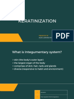 Keratinization Process in Skin Cells