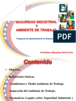 Seguridad Industrial y Ambiente de Trabajo I