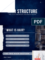 Hair Structure