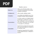 Los Leones (Dilan)