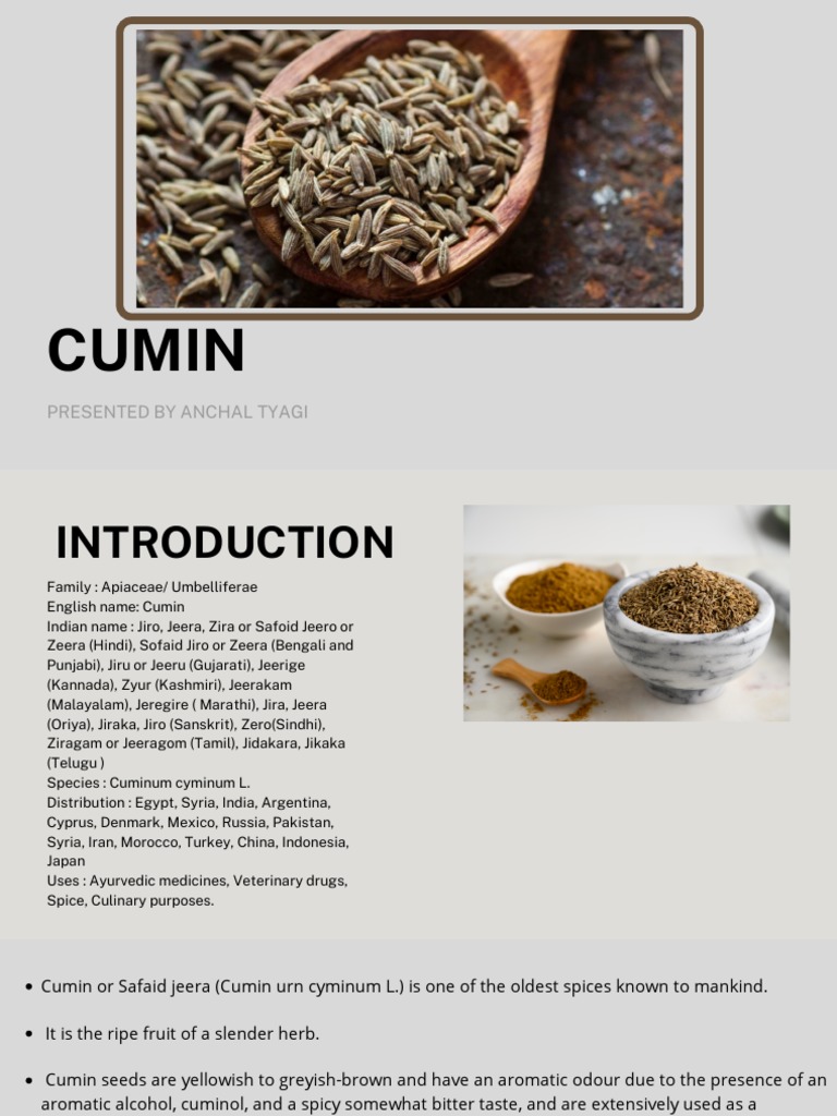 CUMIN PDF Cumin Plants