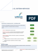 Tema 7:: Relación: El Sistema Nervioso