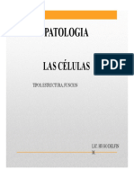 Patologia I Celula