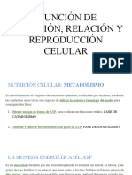 Copia de FUNCIÓN DE NUTRICIÓN - RELACIÓN Y REPRODUCCIÓN CELULAR
