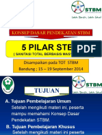 5 Pilar STBM