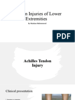 Tendon Injuries of Lower Extremities