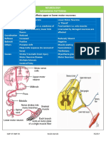 Neurology - Weakness Patterns