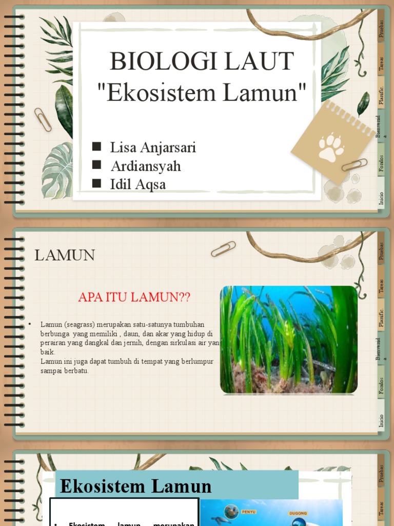 EKOSISTEM LAMUN(1) | PDF