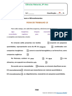 Ficha de Trabalho 13: Ciências Naturais, 6º Ano