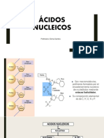 Ácidos Nucleicos: Profesora: Elena Santos