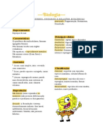 Resumo de Poríferos, Cnidários e Relações Ecológicas