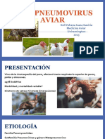 Exposición Medicina Aviar