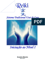 6632726 Reiki Nivel i Evandropdfjan2006