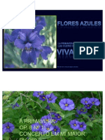 VIVALDI+E+AS+FLORES+AZUIS