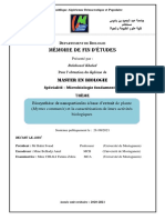 mémoire khaled 2021 pdf