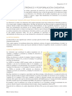 Bioquimica Cad Respiratoria