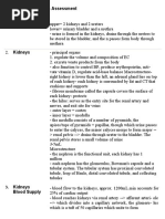 Urinary System Assessment