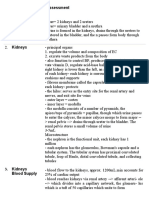 Urinary System Assessment