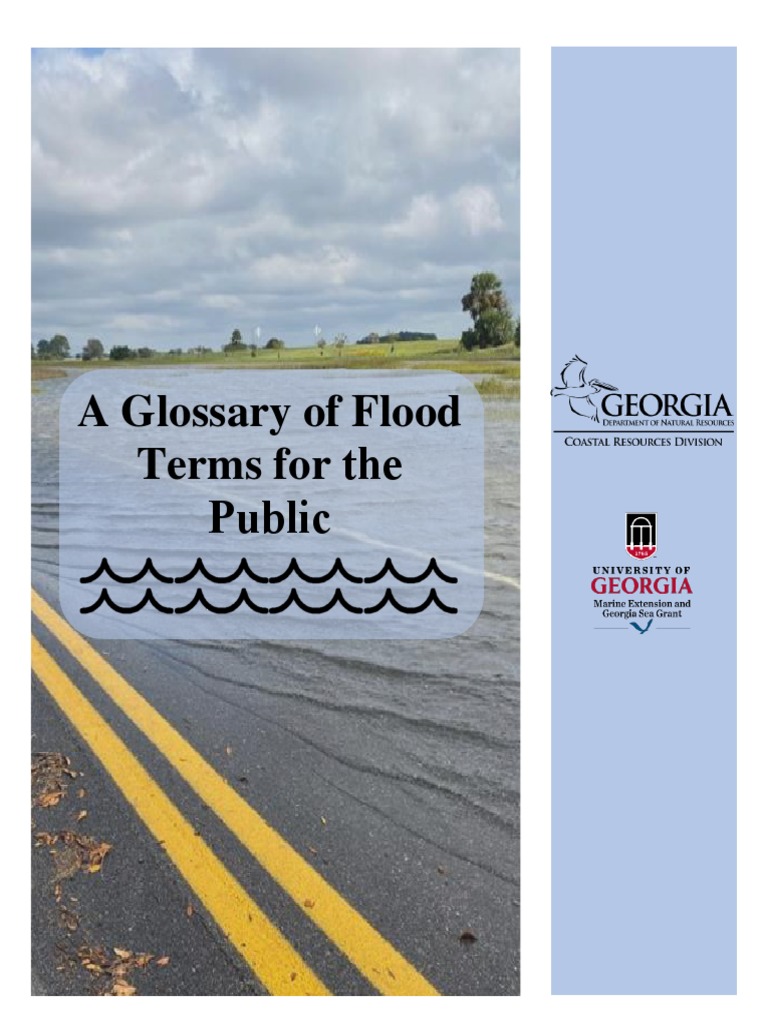 Flood Terminology for Professionals | PDF | Flood | Storm Surge