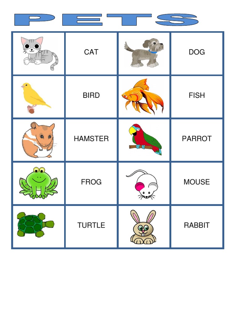 Pets Vocabulary Pdf