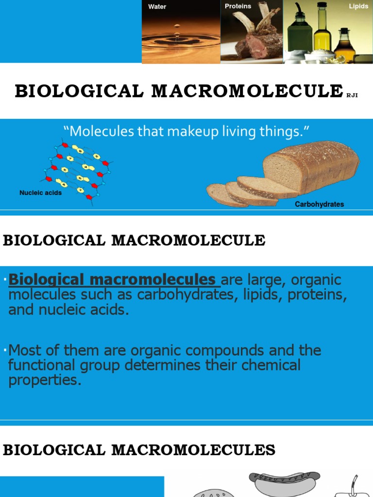 Biomolecules (2022) PDF Carbohydrates Nucleic Acids